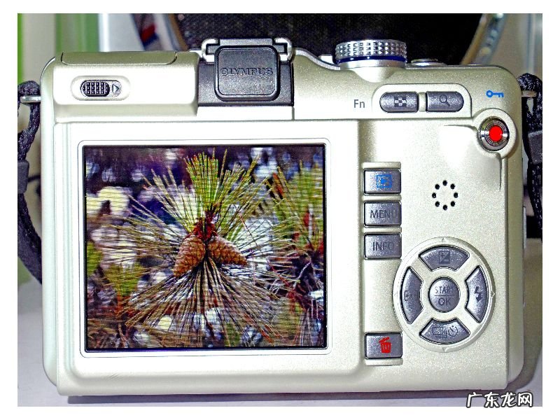 奥林巴斯ep1和ep2 奥林巴斯EP1 和EP3