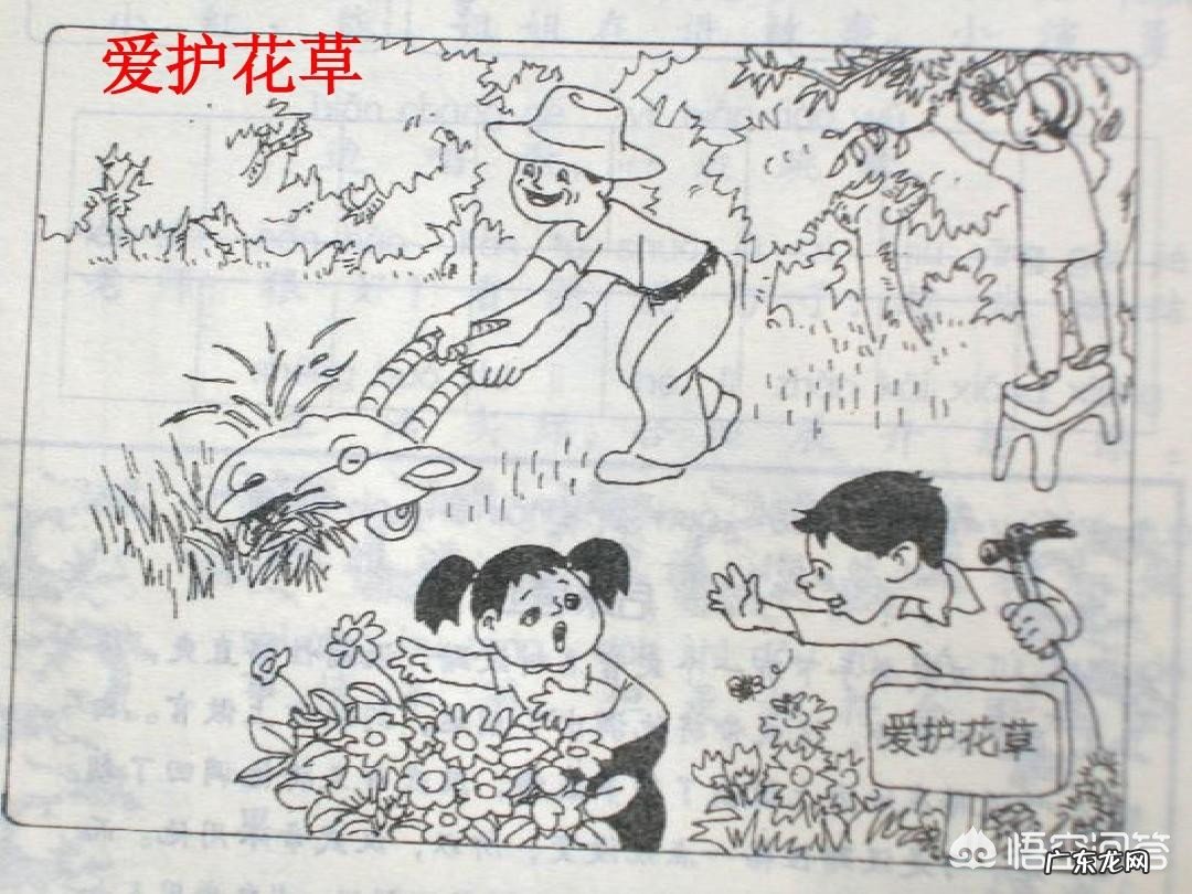 如何教一年级的孩子看图写话?