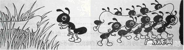 如何教一年级的孩子看图写话?