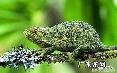 口语交际100篇的答案 口语交际是什么意思