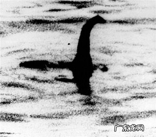 尼斯湖到底有没有水怪?