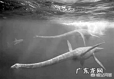 尼斯湖到底有没有水怪?
