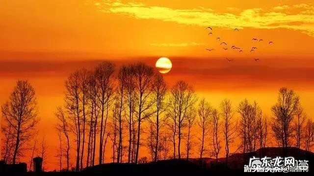 孤独是一种什么感觉?最能描述孤独最高境界的一句话是什么?