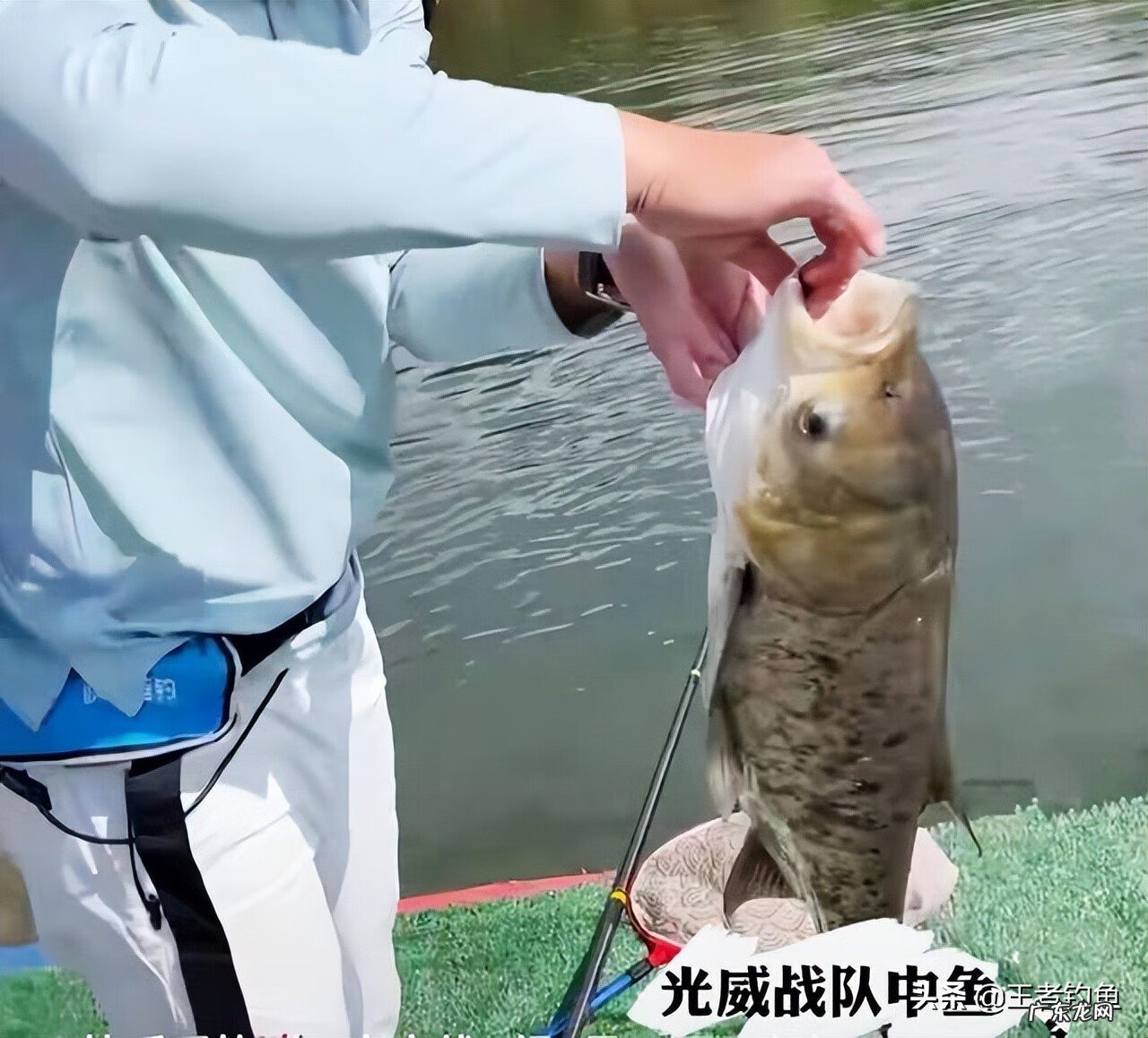 专业钓鱼大赛 钓鱼大赛2022