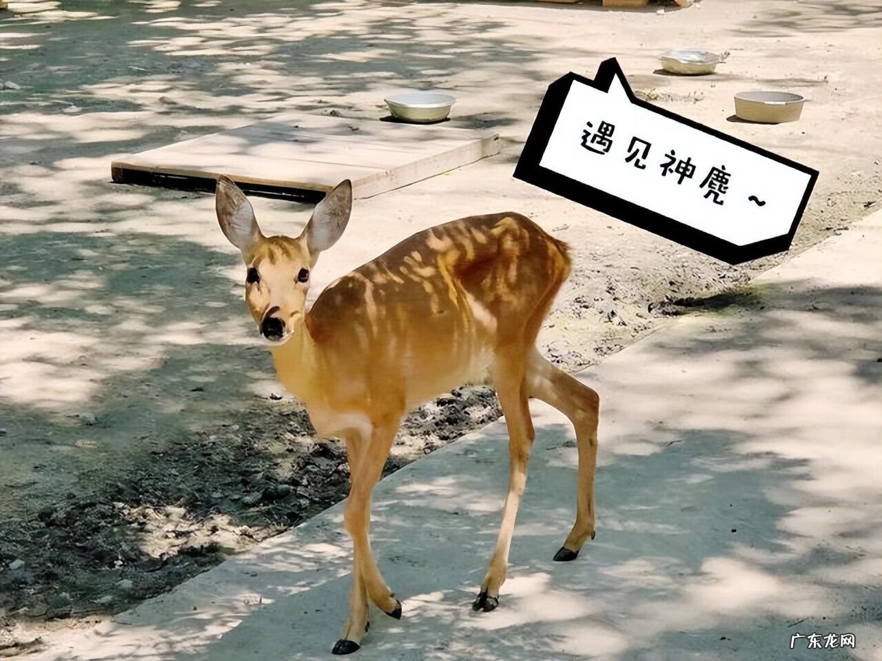 轻松有趣的游戏 轻松玩