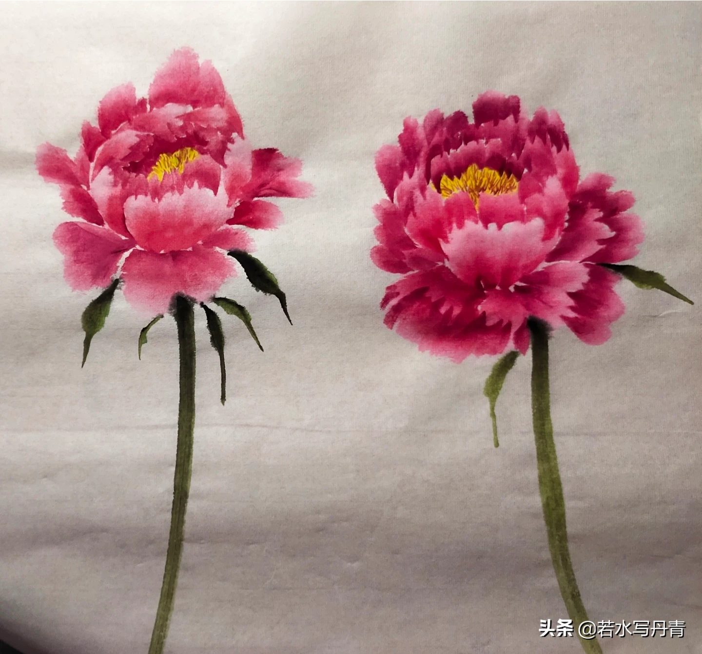 中国画中的牡丹该怎样画?