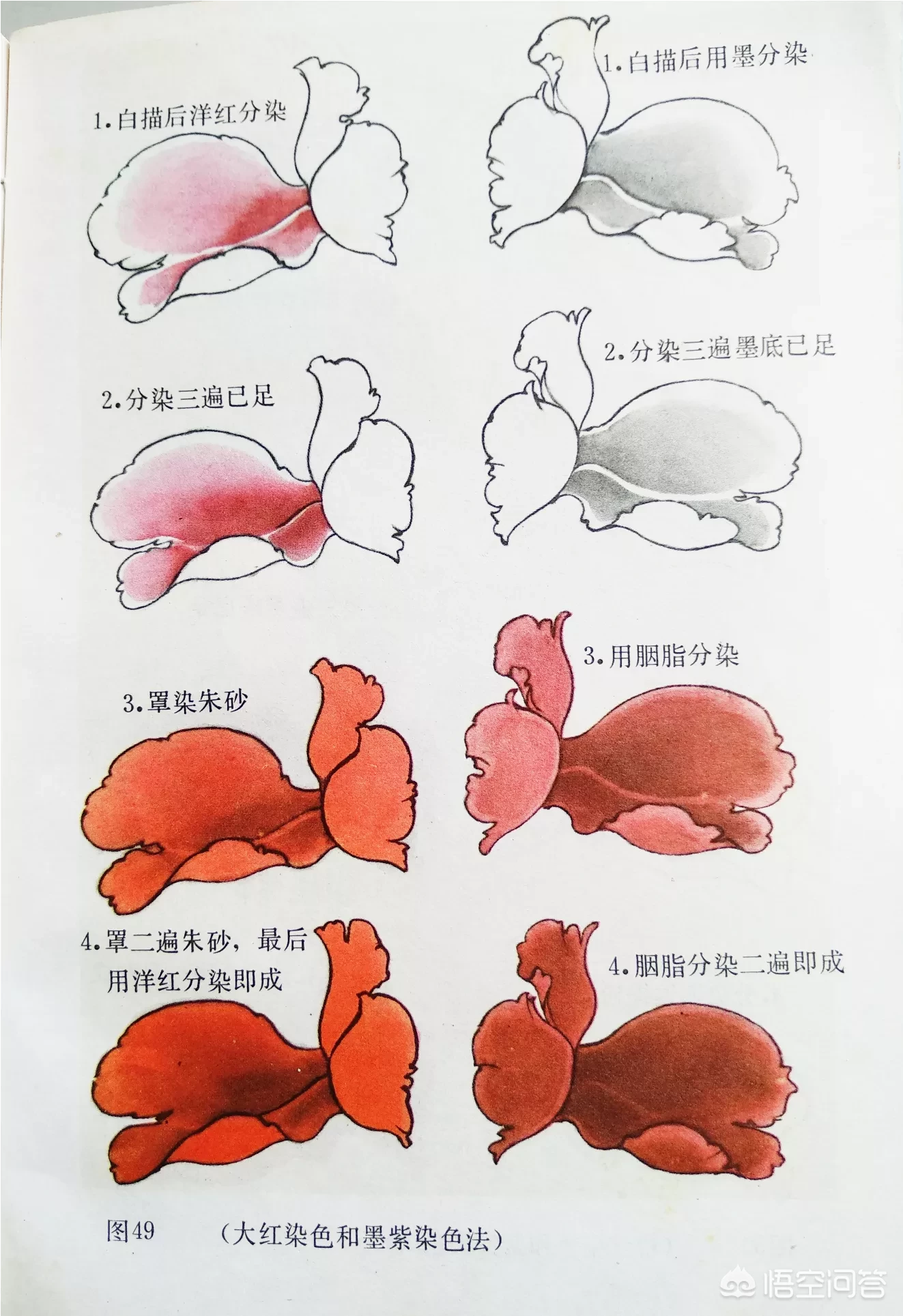 中国画中的牡丹该怎样画?