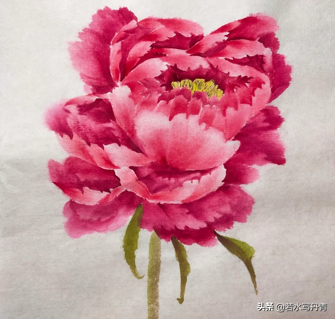 中国画中的牡丹该怎样画?