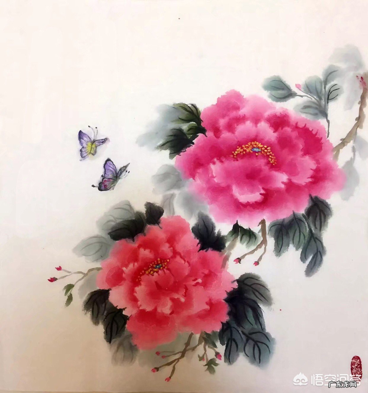 中国画中的牡丹该怎样画?