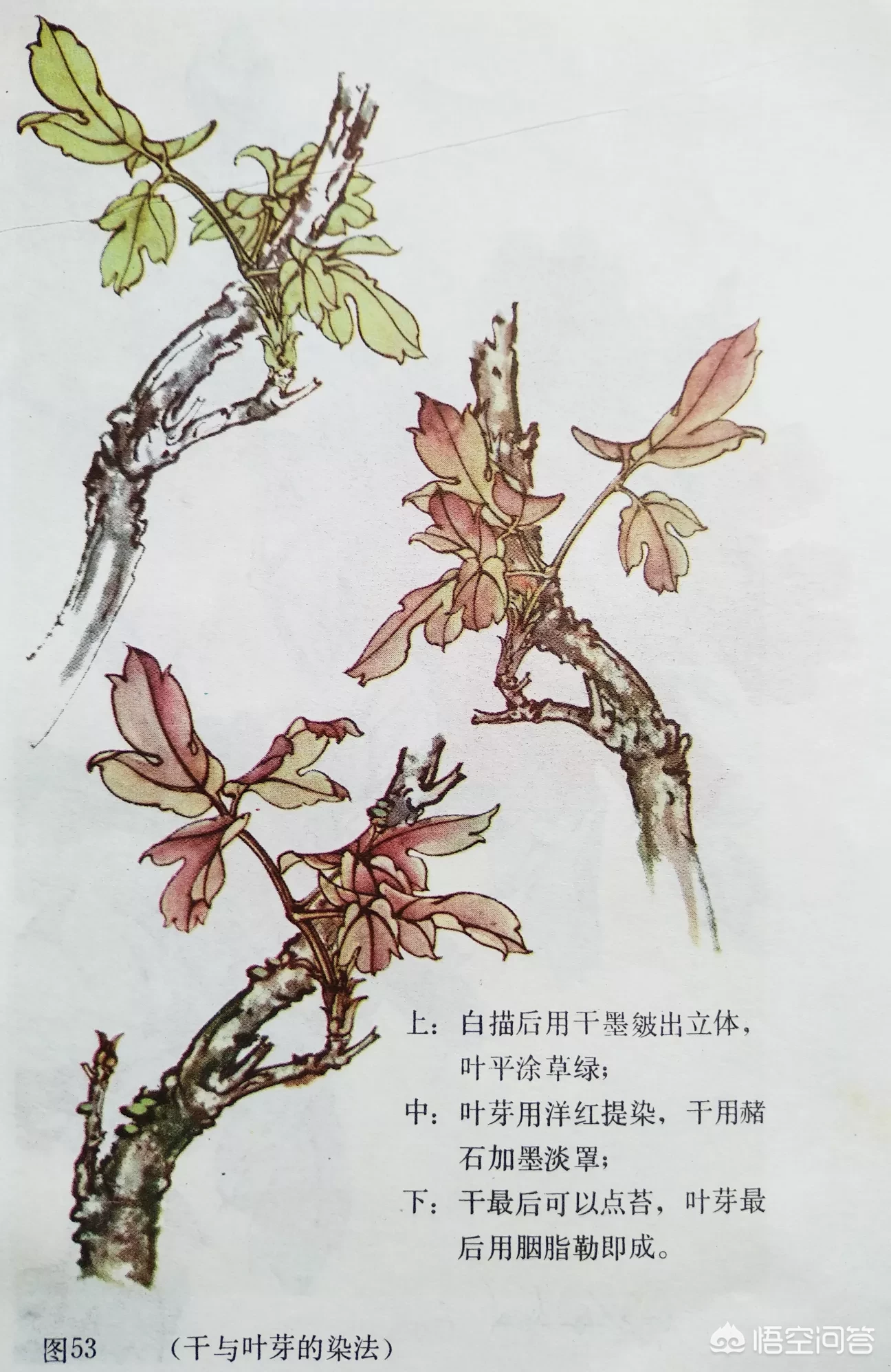 中国画中的牡丹该怎样画?