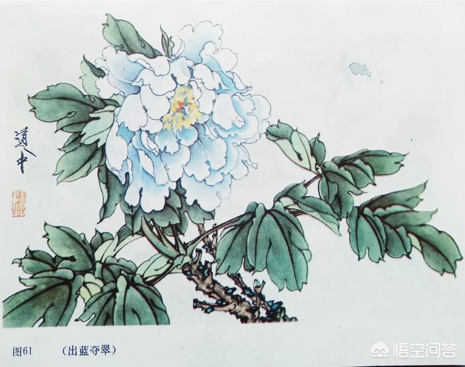 中国画中的牡丹该怎样画?