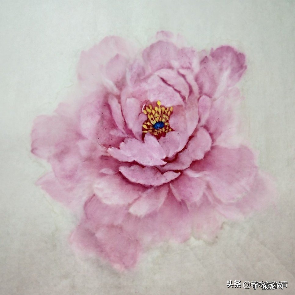 中国画中的牡丹该怎样画?