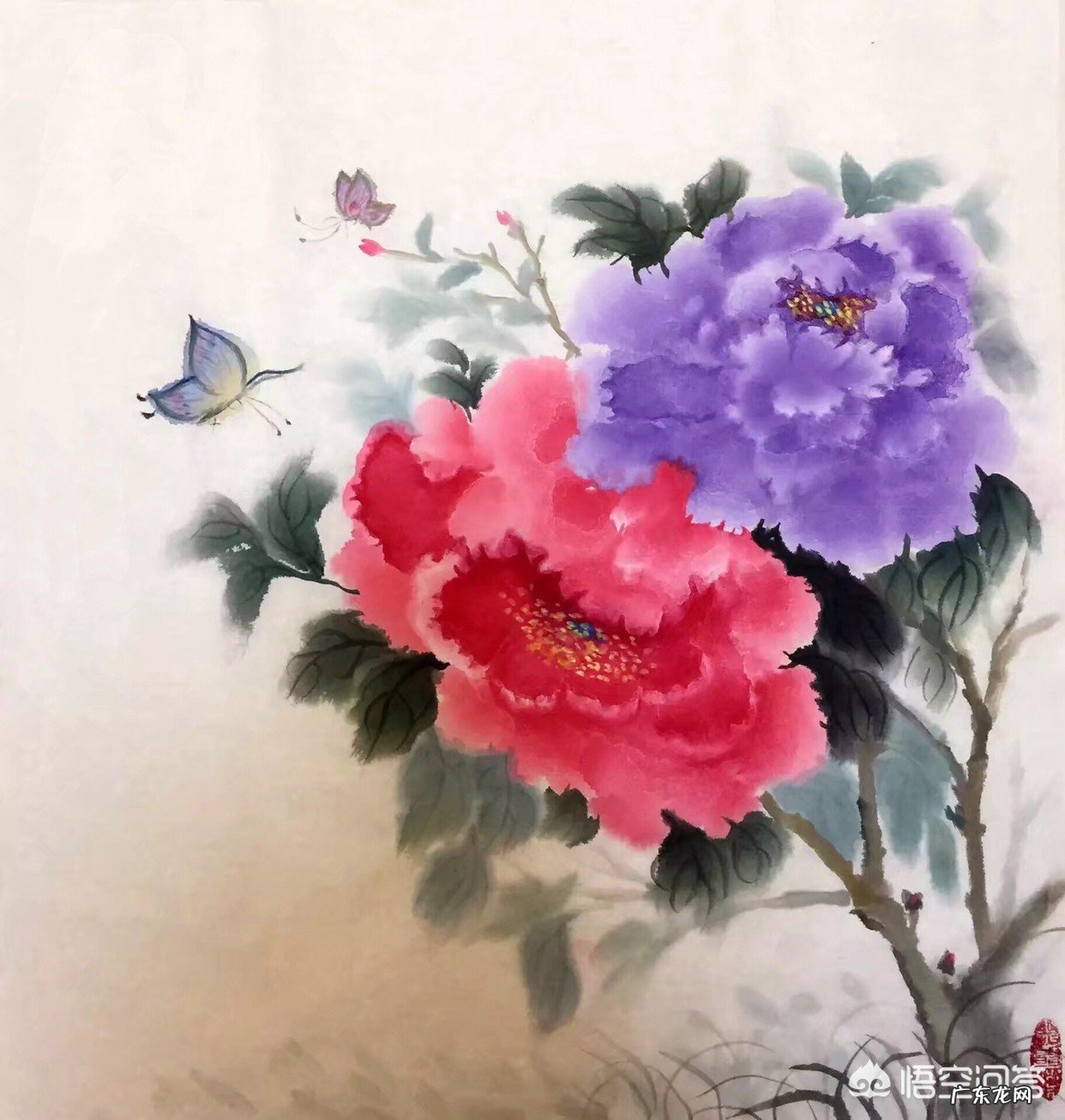 中国画中的牡丹该怎样画?