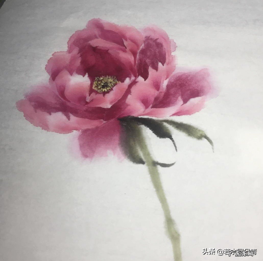 中国画中的牡丹该怎样画?