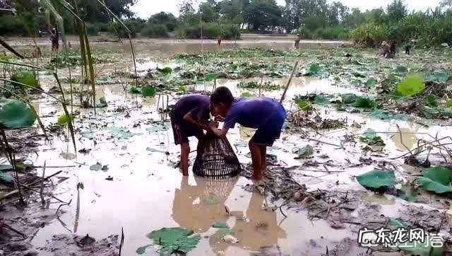 年轻的时候，你都和表姐妹们发生过哪些难忘的事情呢？