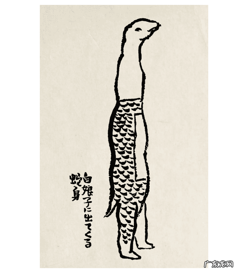 致荣耀 传扬荣耀电影