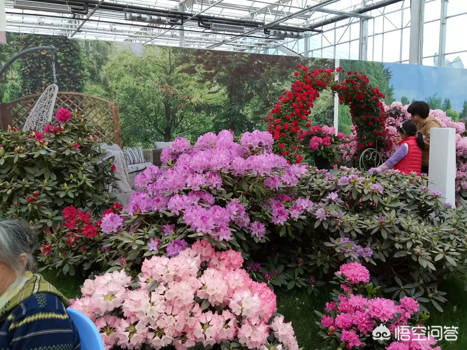 怎样才能享受风景大自然的魅力?