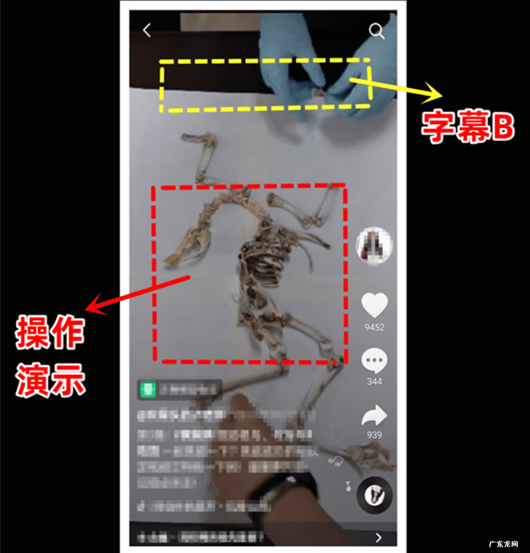 抖音和快手是一个公司吗 抖音红人老师