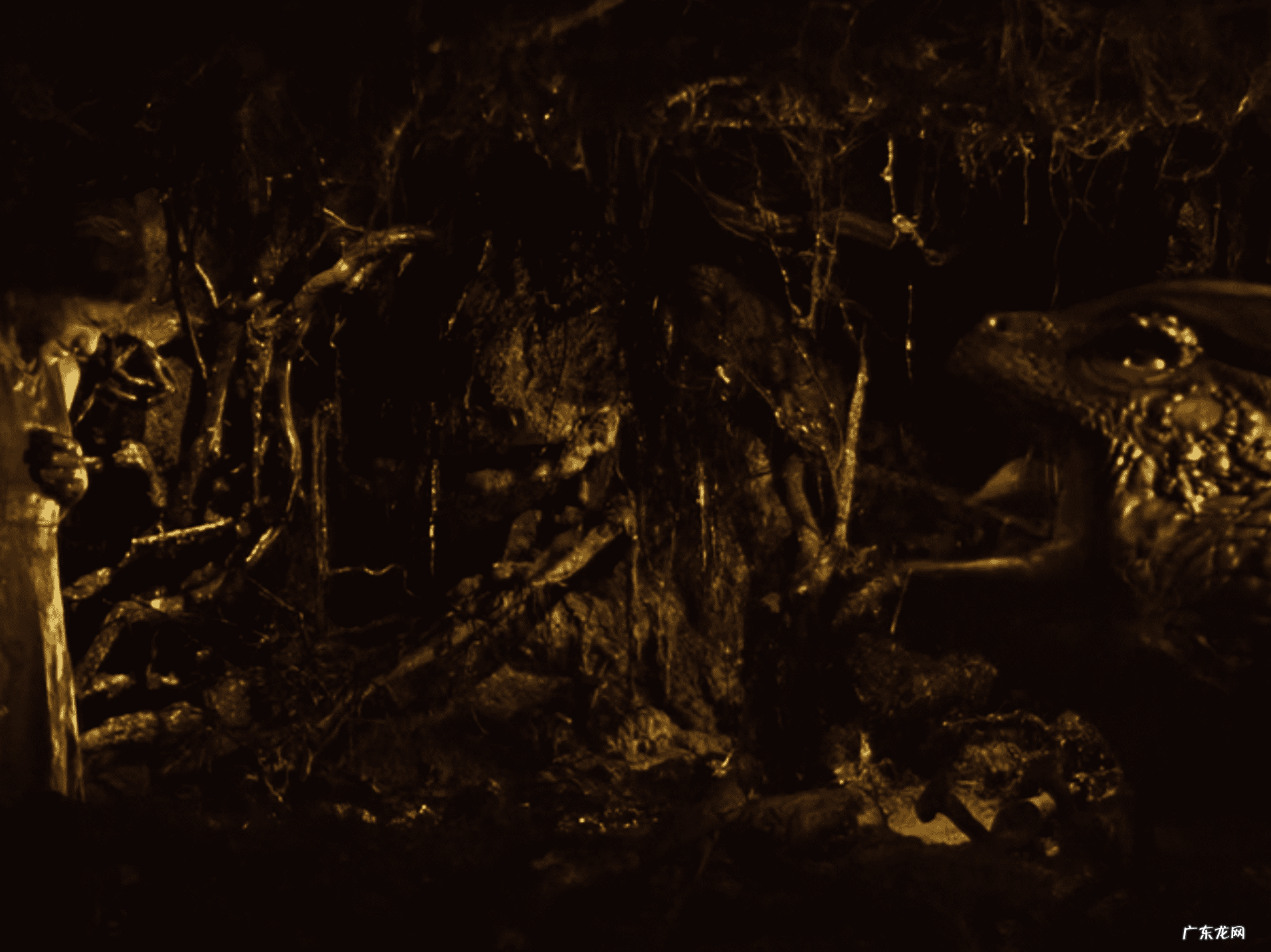 我的小公主美国电影 我的公主王国