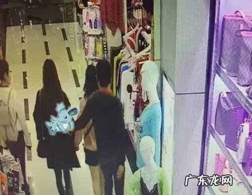 宠物小精灵GO最新版 宠物小精灵Go 介绍