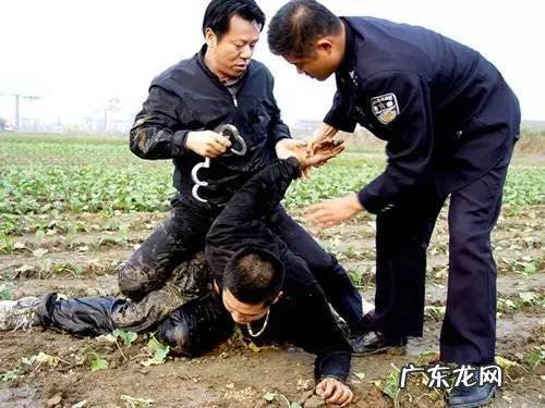 宠物小精灵GO最新版 宠物小精灵Go 介绍