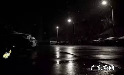 宠物小精灵GO最新版 宠物小精灵Go 介绍