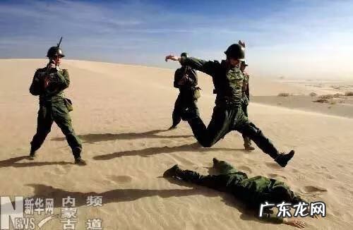 宠物小精灵GO最新版 宠物小精灵Go 介绍