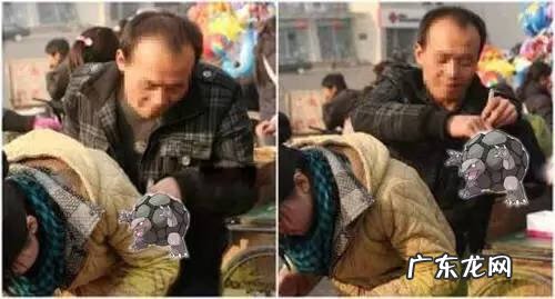 宠物小精灵GO最新版 宠物小精灵Go 介绍