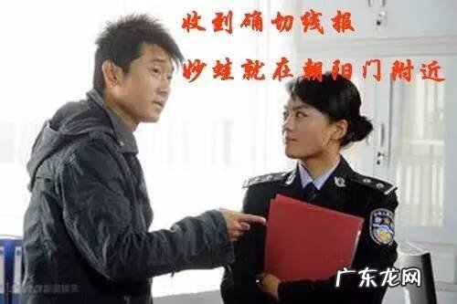 宠物小精灵GO最新版 宠物小精灵Go 介绍