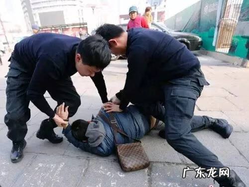 宠物小精灵GO最新版 宠物小精灵Go 介绍