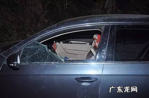 宠物小精灵GO最新版 宠物小精灵Go 介绍