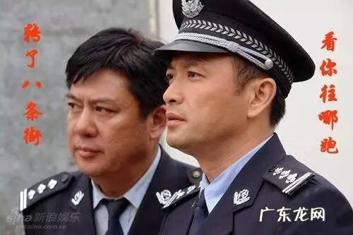 宠物小精灵GO最新版 宠物小精灵Go 介绍