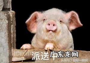 淘宝购物流程图片