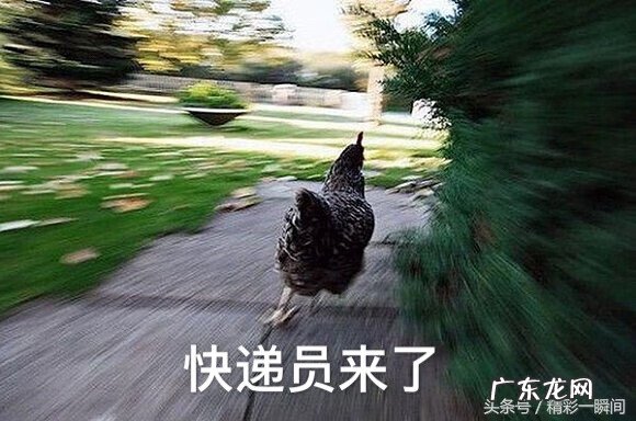 淘宝购物流程图片