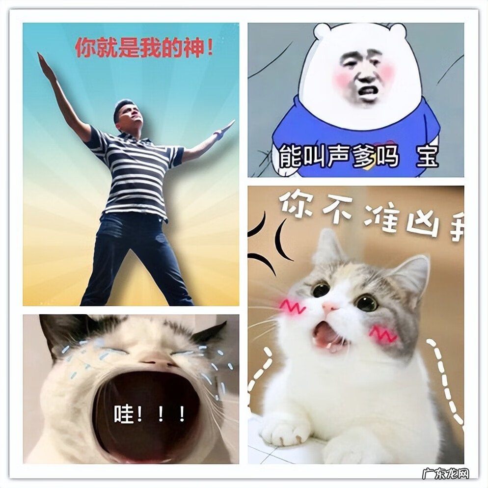 支持表情包图片大全 表情制作软件用自己的图片