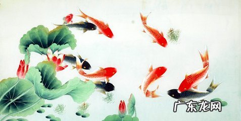 王辛龙 风水龙运是什么意思