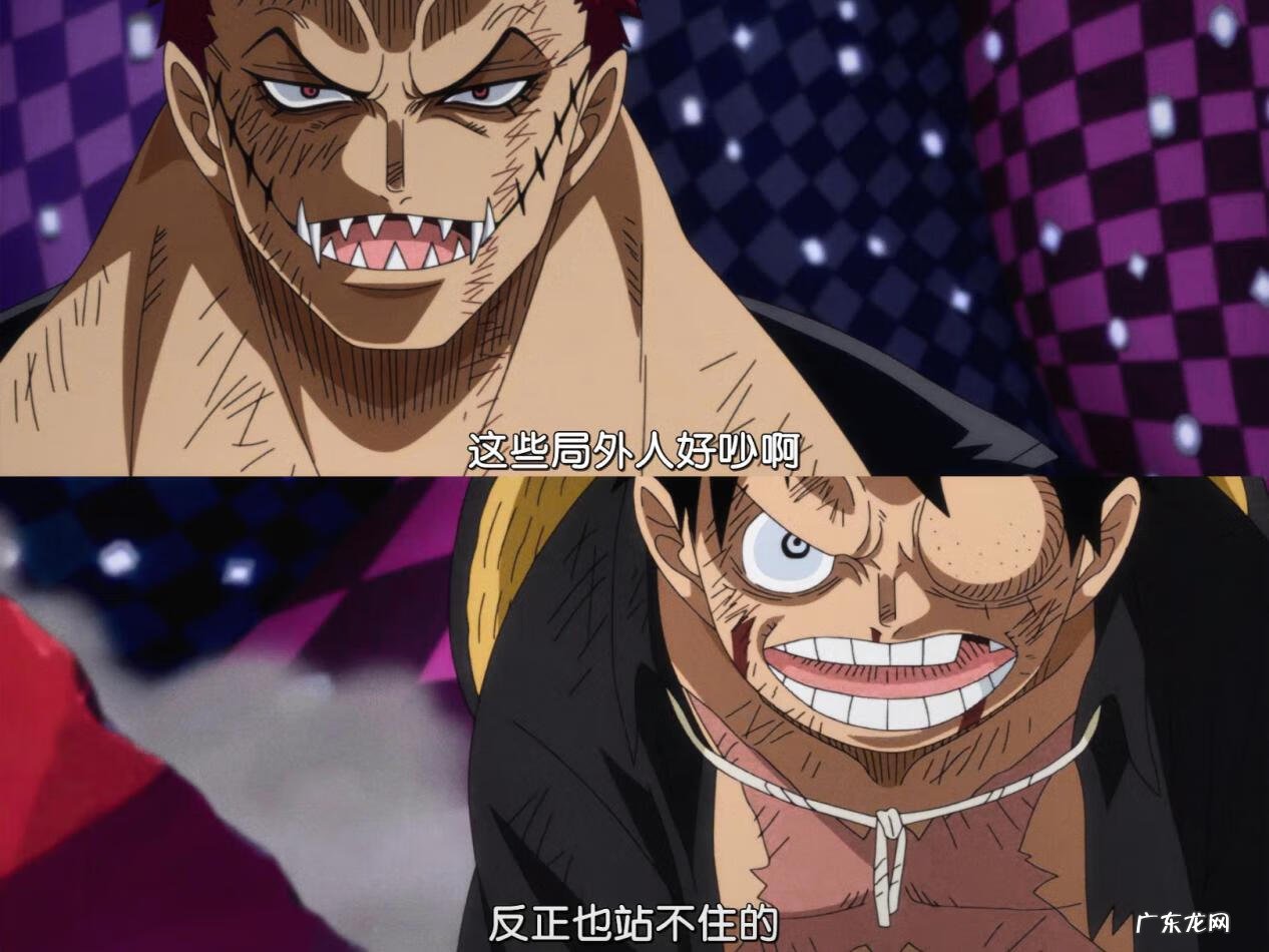 海贼王对决 海贼王霸气对碰
