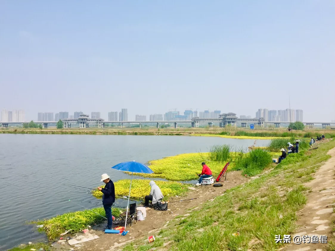 想去钓鱼,家人不同意,钓友们是怎么处理的?