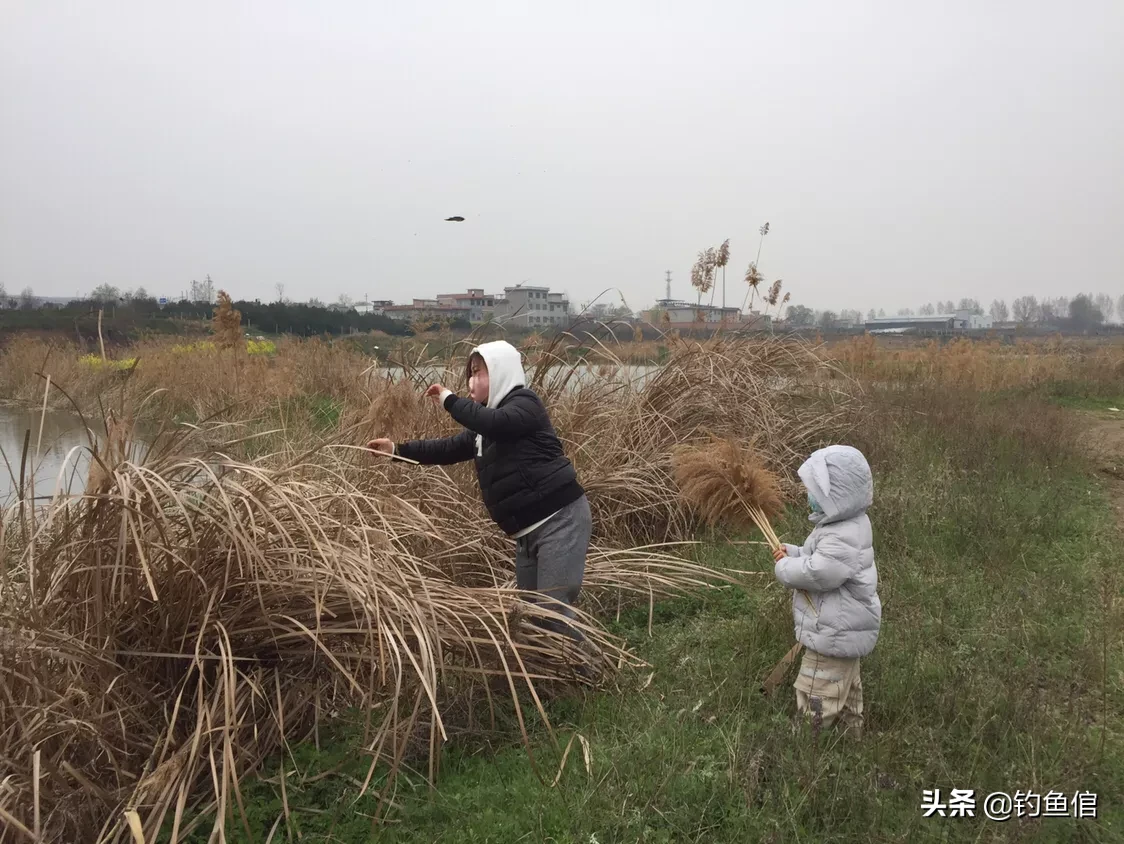 想去钓鱼,家人不同意,钓友们是怎么处理的?