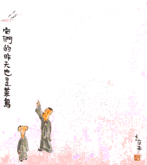 菜鸟指的是什么人 网上菜鸟是什么意思