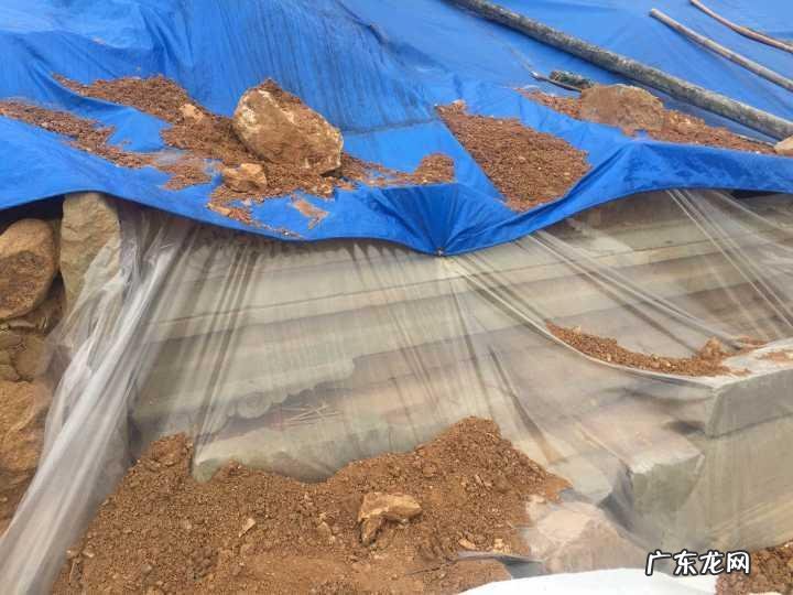 绍兴兰若寺 绍兴兰若寺风水