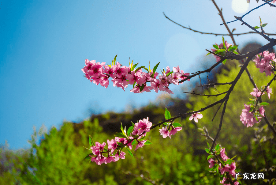 形容人旺财旺的诗词有哪些 带旺的诗句