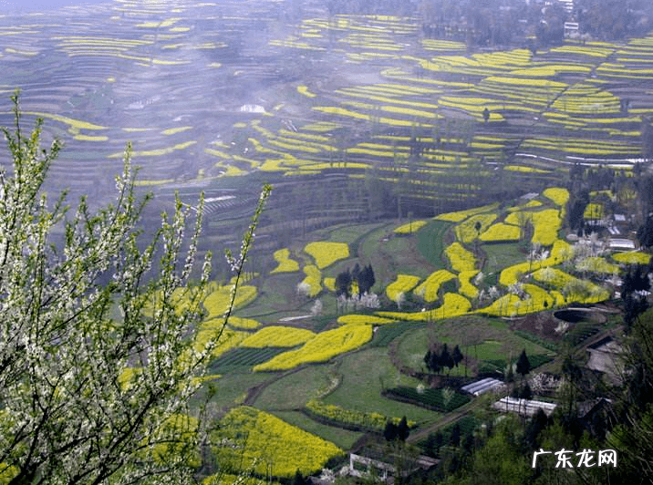形容人旺财旺的诗词有哪些 带旺的诗句