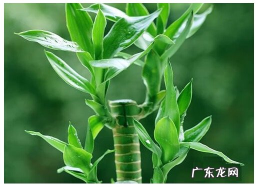 风水影响生男生女吗 风水对生男生女的影响