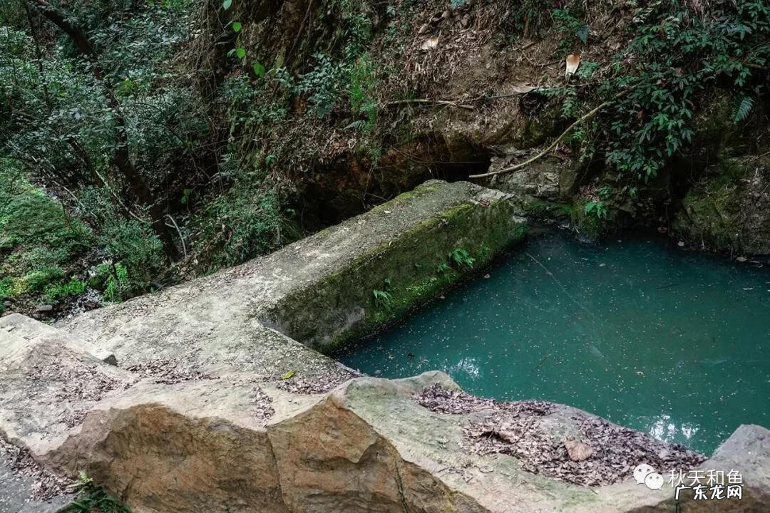 温州景山在哪里 温州景山森林公园