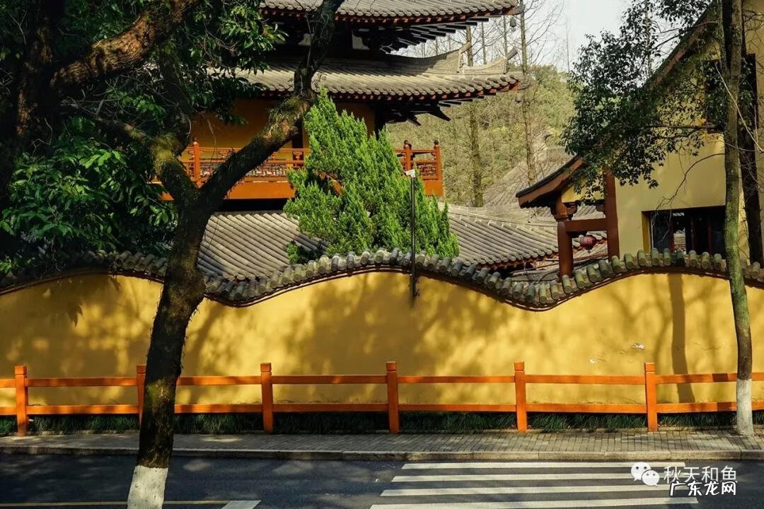 温州景山在哪里 温州景山森林公园