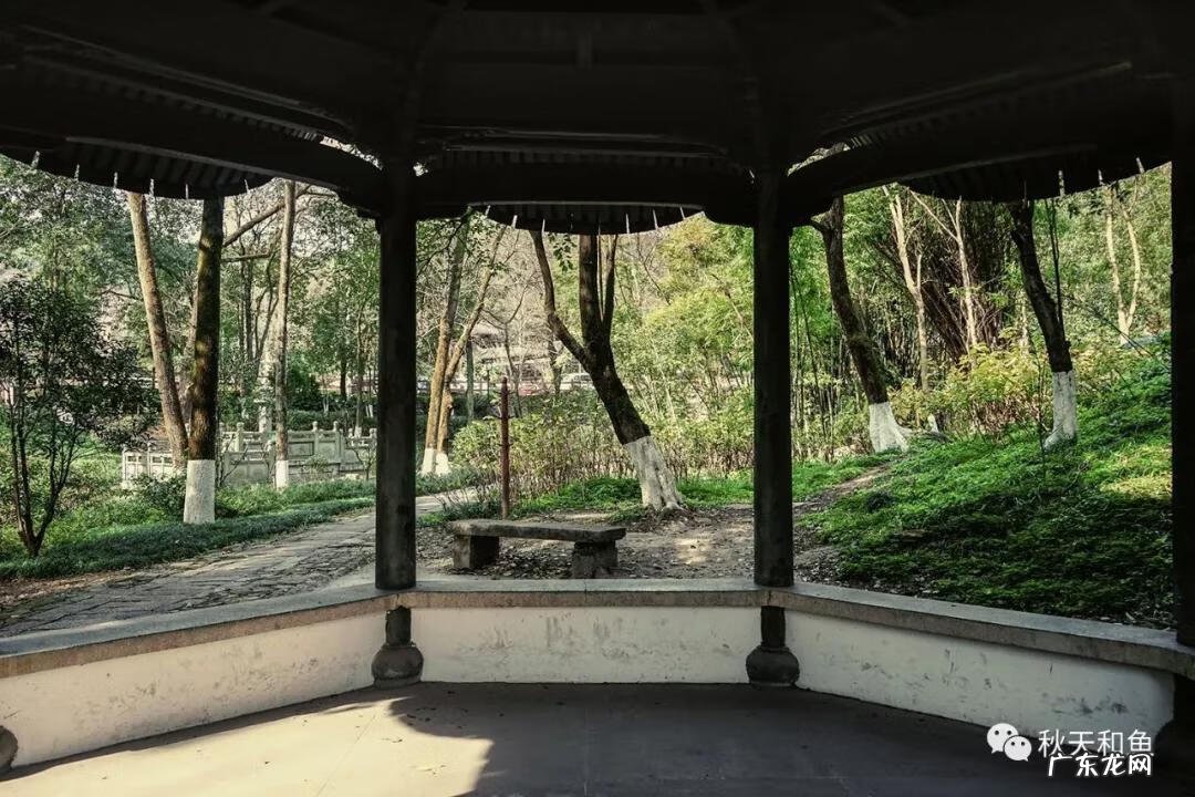 温州景山在哪里 温州景山森林公园