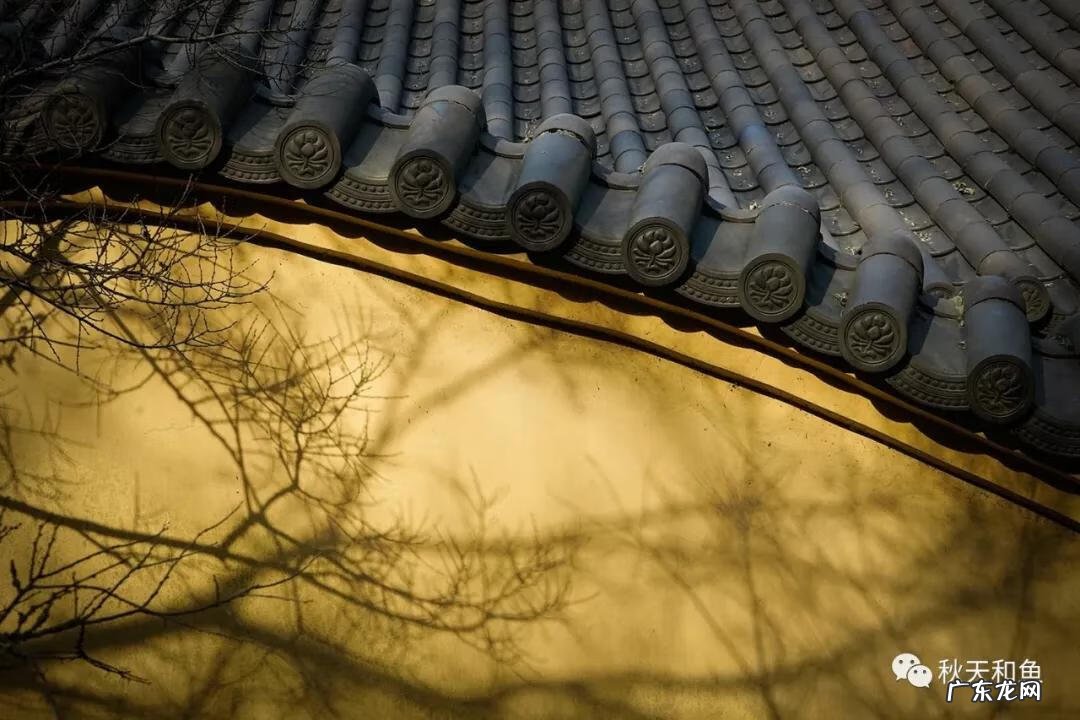 温州景山在哪里 温州景山森林公园