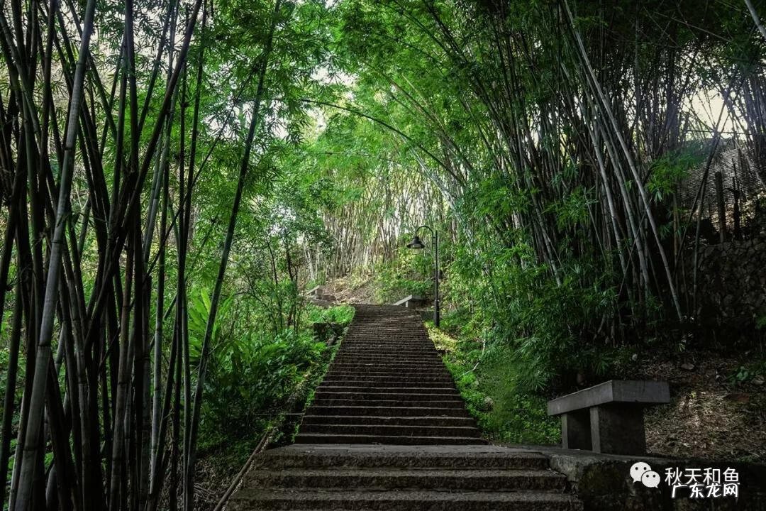 温州景山在哪里 温州景山森林公园