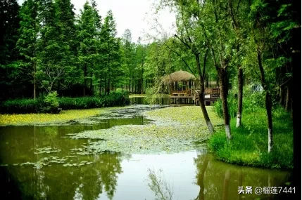 对眼睛好的蔬菜有哪些?